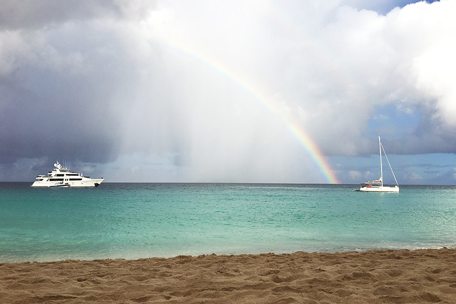 anguilla rainbow